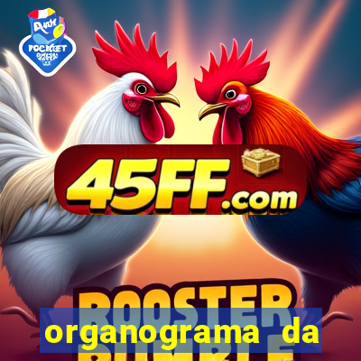 organograma da cacau show